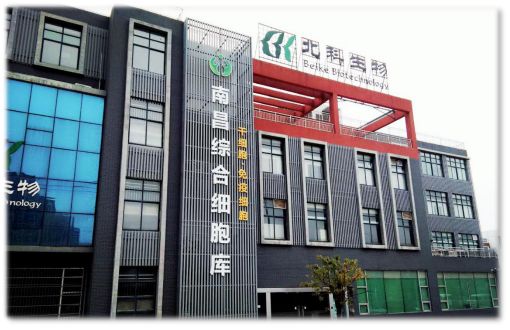 南昌综合细胞库