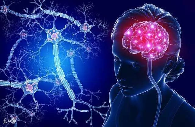 毁灭性脑癌:胶质母细胞瘤,免疫疗法是它的治疗未来吗?