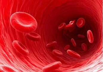 脐带血储存着人体早期“生命密码” 它有留存价值吗?