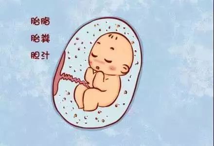 羊水浑浊可以预防吗?孕妈做好这2件事,可确保胎儿安全!