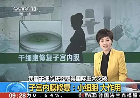 干细胞在子宫内膜损伤修复中的应用